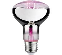 Paulmann Lampe pour plantes à LED, croissance 230 V E27 6.5 W ambré 1 pc(s)