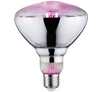 Paulmann Lampe pour plantes à LED, croissance 230 V E27 6.5 W ambré 1 pc(s)
