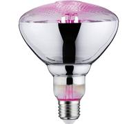 Paulmann Lampe pour plantes à LED, croissance 230 V E27 6.5 W ambré 1 pc(s)