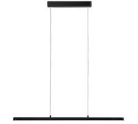 Paulmann Lento lampe suspendue 1x42 W noir 79693