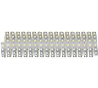 Paulmann MaxLED 70565 Ruban LED avec connecteur mâle 24 V 10 m blanc chaud, blanc neutre, blanc lumi