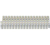 Paulmann MaxLED 70565 Ruban LED avec connecteur mâle 24 V 10 m blanc chaud, blanc neutre, blanc lumière du jour 1 pc(s)