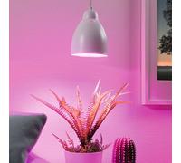 Paulmann Neordic Hilla Suspension, Blanche Blanc