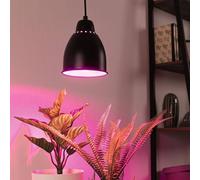 Paulmann Suspension Neordic Hilla E27 max. 40 W gradable métal noir