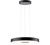 Paulmann Pane II 79517 Suspension LED LED 22 W noir, gris