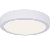 Paulmann Panneau encastrable LED pour salle de bain 13 W IP44 blanc