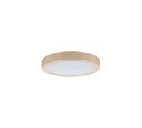 Paulmann 71052 Panneau LED Cosara IP44 rond 300 mm 15W 1300lm 3000K Beige Plafonniers
