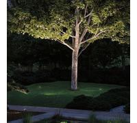 Paulmann Plug & Shine Spot sur piquet LED Radon Radon, dimmable, gris, Aluminium