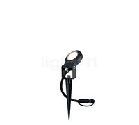 Paulmann Plug & Shine Sting Projecteur pique au sol LED extension