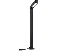 Paulmann Poller ITO vertikal 94547 Système déclairage Plug&Shine; spot de jardin LED LED 6 W blanc chaud anthracite