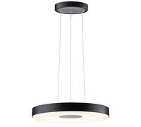 Paulmann Puric Pane lampe suspendue 1x22 W noir-gris/cendre 79517