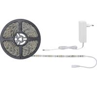 Paulmann SimpLED 78976 Ruban LED (Set complet) avec connecteur mâle 12 V 7.5 m blanc lumière du jour