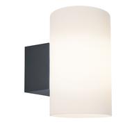 Paulmann Tube applique murale extérieure 1x15 W anthracite 94186