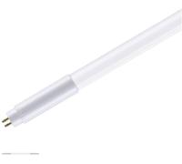 Paulmann Tubes LED CEE: F (A - G) G5 7.5 W blanc neutre (Ø x L) 18 mm x 301 mm 1 pc(s)