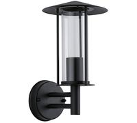 Paulmann Wall Classic applique murale extérieure 1x15 W noir-transparent 94398