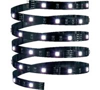 YourLED ECO Strip LED RGB Strip individuel 3m 14,5W 110lm/m 30 LEDs/m RGB Noir G