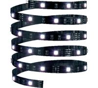 Paulmann Ruban LED YourLED Eco 70252 3 m, 12 V, RVB, connecteur mâle, 1 pièce