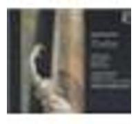 Paulus, Oratorio opus 36