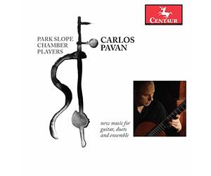 Pavan / Park Slope Chamber Players - New Music