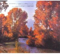 Pavement - Major Leagues [Import]