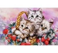 Pavemlo DIY 5D Diamond Painting Kits Animaux à Chats, Diamant Peinture Point De Croix Broderie Fraise, Strass Complet Image Arts Pour Peinture Salon Chambre Décoration Sticker Mural 30x40cm