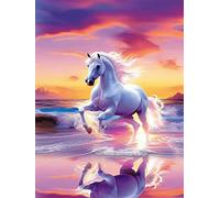 Pavemlo DIY 5D Diamond Painting Kits Cheval, Diamant Peinture Point De Croix Broderie Le ciel des Animaux, Strass Complet Image Arts Pour Peinture Salon Chambre Décoration Sticker Mural 30x40cm