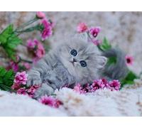 Pavemlo DIY 5D Diamond Painting Kits Fleurs De Chat, Diamant Peinture Point De Croix Broderie Animal, Strass Complet Image Arts Pour Peinture Salon Chambre Décoration Sticker Mural 30x40cm