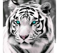 Pavemlo DIY 5D Diamond Painting Kits Tigre Blanc Aux Yeux Bleus, Diamant Peinture Point Croix Broderie Animal, Strass Complet Image Arts Pour Peinture Salon Chambre Décoration Sticker Mural 30X30 cm
