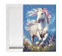 Pavemlo Peinture Par Numero Adulte Avec Cadre Cheval - 20x30cm Paint By Numbers, Kit Artistique Facile Pour Débutants Parfait Pour La Décoration Intérieure Et Les Cadeaux Créatifs