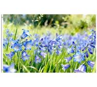 Pavillon Aquarelle de jacinthes des bois, champ vert, fleurs sauvages, | prairie Pavillon Nautique FestivitéS 3x5 FT RéSistant Aux IntempéRie bannière Double Face Bannière personnalisée