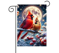 Pavillon de jardin Oiseaux cardinaux, neige, branche, baies, étoiles,