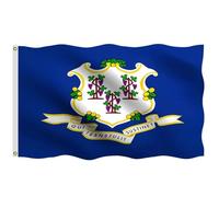 Pavillon État Du Connecticut Connecticut Ct 2 Œillets Géant Pavillon Résistant À La Décoloration Bannière De Drapeaux Personnalisés Pour Balcon Célébrations Festivités 90X150Cm