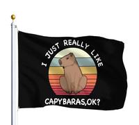 Pavillon J'aime vraiment les capybaras, ok ? Pavillon Nautique Balcon 3x5