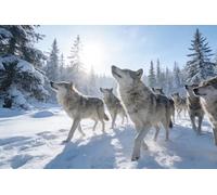 Pavillon Nautique Loups en hiver dans les montagnes enneigées, faune | sauvage, nature Bannière éLection 3x5 FT 2 œIllets Bannière personnalisée Couleur Vive bannière Anniversaires Supporters