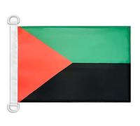Pavillon nautique Martinique indépéndantiste 45x30cm - Drapeau de bateau nationaliste martiniquais 30 x 45 cm - AZ FLAG