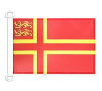 Pavillon nautique Normandie Croix de Olaf 2 lions 45x30cm - Drapeau de bateau normand 30 x 45 cm - AZ FLAG