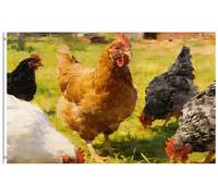 Pavillon Nautique Poules et poussins en été et au printemps, dans une | ferme rustique au paysage naturel Pavillon Bar 3x5 FT Double Face drapeau de la fierté Couleur Vive Drapeau Double Face