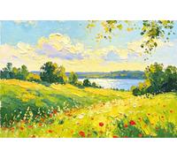 Pavillon Nautique Prairie de coquelicots au soleil Lac bleu Été Grand | Drapeau Parade 3x5 FT Couleur Vive Grande Drapeau 2 œIllets Bannière personnalisée Balcon Maison