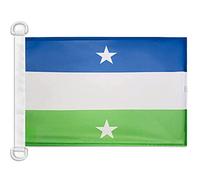 Pavillon nautique Royaume d'Araucanie et de Patagonie 45x30cm - Drapeau de bateau royaume de Nouvelle-France 30 x 45 cm - AZ FLAG