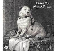 RUF-Brikett – Prodigal Dreamer – Vinyle 180 g – Pochette gatefold