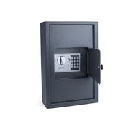 Pavo - Armoire de Gestion de Clés Haute Sécurité et Robuste pour Usage Extérieur, jusqu’à 50 Clés - Gris, 8009022