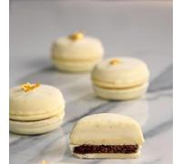 Pavoni MOULE MACARON KIT 300X175 MINI PORTION