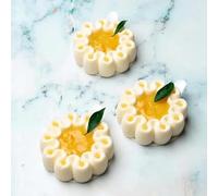 Pavoni MOULE SILICONE ONDUALTION