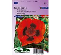 Pavot de Tournefort/d'Oriënt Rouge - Graines De Fleurs Vivaces
