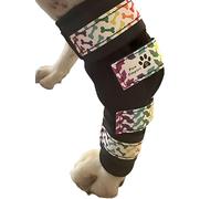 Paw Empire - Paire de bretelles de jambe pour chien, ultra soutenue, confortable, double ressorts métalliques, attelle pour l'arthrite articulaire, aide les blessures et les entorses (taille M, fond