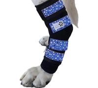 Paw Empire - Paire de bretelles de jambe pour chien, ultra soutenue, confortable, double ressorts métalliques, attelle pour l'arthrite articulaire, aide les blessures et les entorses (taille M