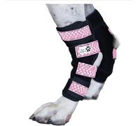 Paw Empire - Paire de bretelles de jambe pour chien, ultra soutien, confortable, double ressorts métalliques, attelle pour l'arthrite articulaire, aide les blessures et les entorses (taille M, os de