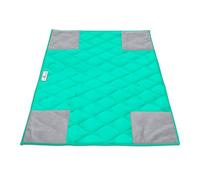 Paw Inspired Tapis de Cage pour Cochon d'Inde PopCorner | Tapis Absorbant Ultra Absorbant avec Coins renforcés et Fond imperméable (C&C 2x3, Vert)