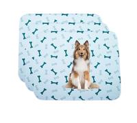 Paw Jamboree Tapis Absorbant Chien Réutilisable Tapis Chien Pipi Lavable Tapis de Propreté Chien Lot de 3 Tapis Educateur Chien Ultra Large 75*89CM