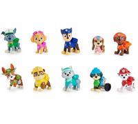 Paw Patrol, 10th Anniversary, All Paws On Deck Toy Figures Gift Pack with 10 Col